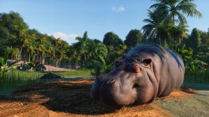 planet-zoo-la-simulation-ultime-de-zoo-rugit-aujourdhui-mini3.jpg