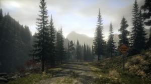 assets/images/tests/alan-wake/alan-wake_mini1.jpg