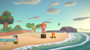 assets/images/tests/animal-crossing-new-horizons/animal-crossing-new-horizons_p2.jpg