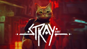 [TEST CN PLAY] Stray