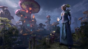 assets/images/tests/the-elder-scrolls-online/the-elder-scrolls-online_mini4.jpg