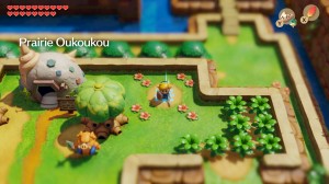 assets/images/tests/the-legend-of-zelda-links-awakening-2019/the-legend-of-zelda-links-awakening-2019_mini6.jpg